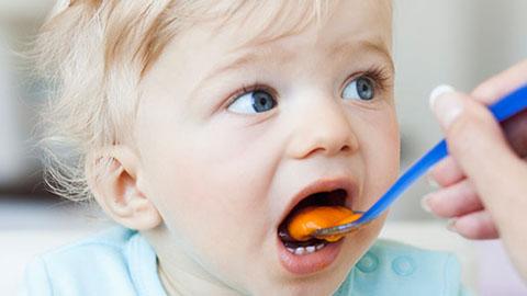 A nutrição das crianças do 1 aos 3 anos